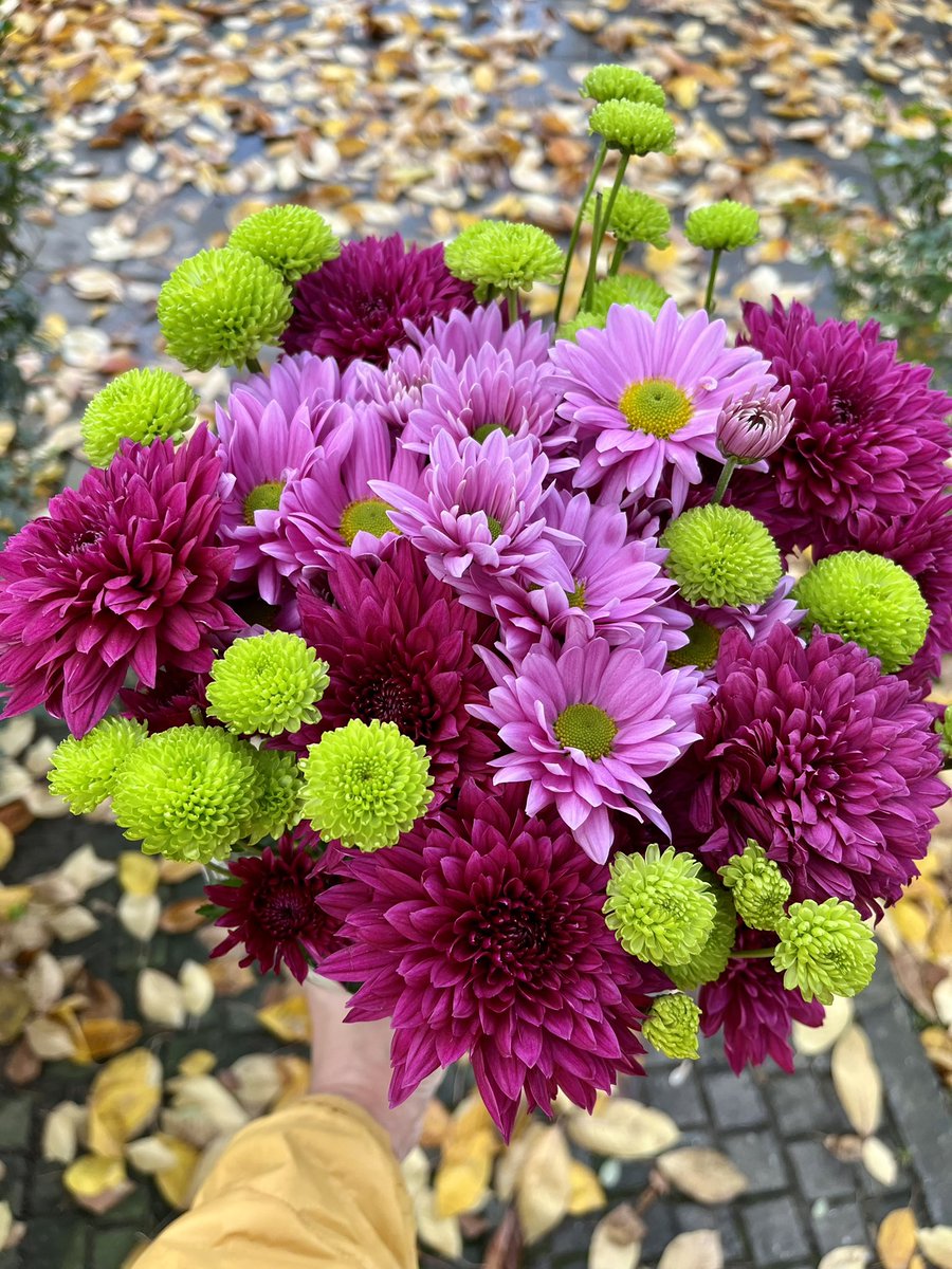 Pazar gibi pazar 🌸🍂🌸