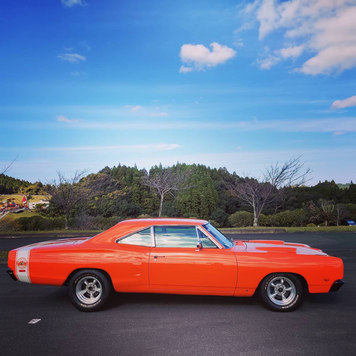 MapleBee8's tweet photo. 久々に🐝⋆︎*゚∗
#アメ車 #モパー #旧車 #マッスルカー #スーパービー #1969年スーパービー #ダッジ #クライスラー #宮崎市 #清武町 #superbee #1969superbee #69superbee #coronet #1969coronet #69coronet #dodgedivision #dodge #chrysler #bbody #mopar https://t.co/fzqRaxQgxi