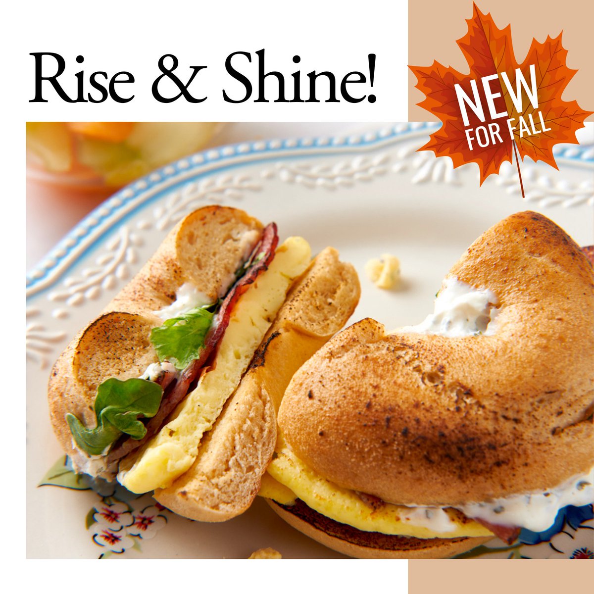 SeattleSutton's tweet photo. Rise and shine! ☀️ Start your day with a whole grain bagel layered with a fried egg, chicken bacon, arugula, and a truffle herb spread with a side of melon and pineapple! 

https://t.co/3bQ4fB9v7w

#SeattleSuttons #HealthyEating #NationalDiabetesMonth #MealDeliveryProgram https://t.co/rDenSA0f7b