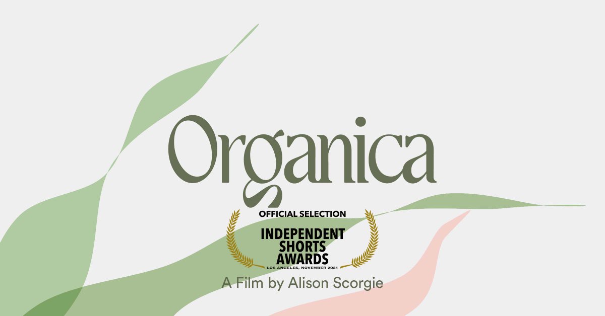 Alison Scorgie tweet media