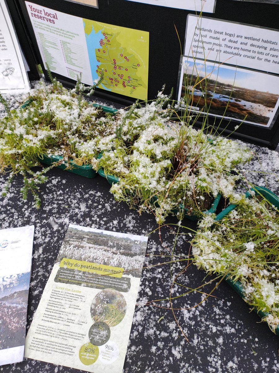 JealDaniel's tweet photo. Had a great meeting of the Friends of Chat Moss today with @TomBurdittLWT from @Lancswildlife the snow was an added bonus! #FOCM https://t.co/cRXwAqdf8o
