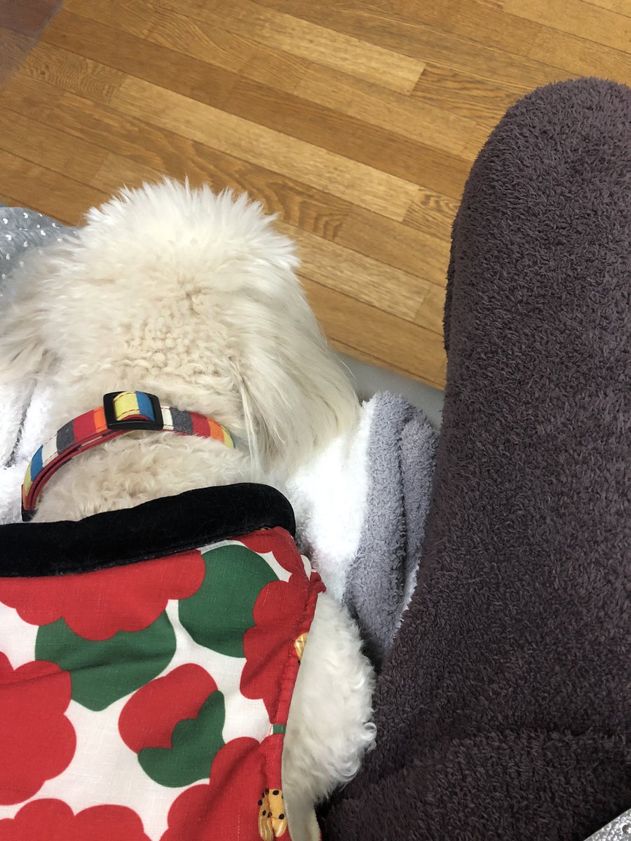 RibbonFrise's tweet photo. 今のうちら https://t.co/0GoQFrvK3t