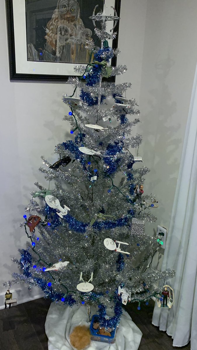 crazymofoyo's tweet photo. #TrekTwitter #StarTrek #TrekTree #CharlieBrown #Peanuts #acharliebrownchristmas 
Time for my two favorite trees 🌲 https://t.co/jG4TXD5y87