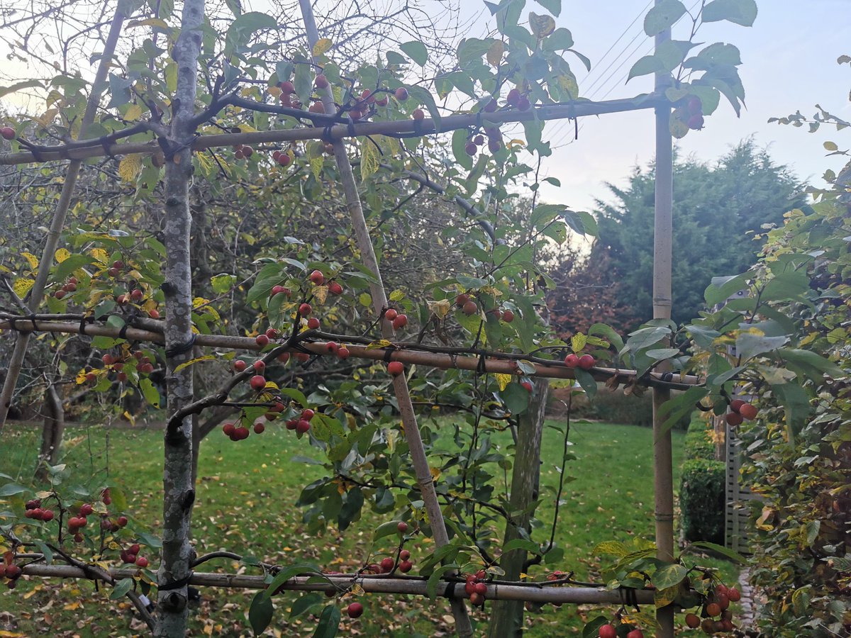 MarkLaneTV's tweet photo. #autumnwellbeing @thrivecharity https://t.co/mn8EprOZ2x