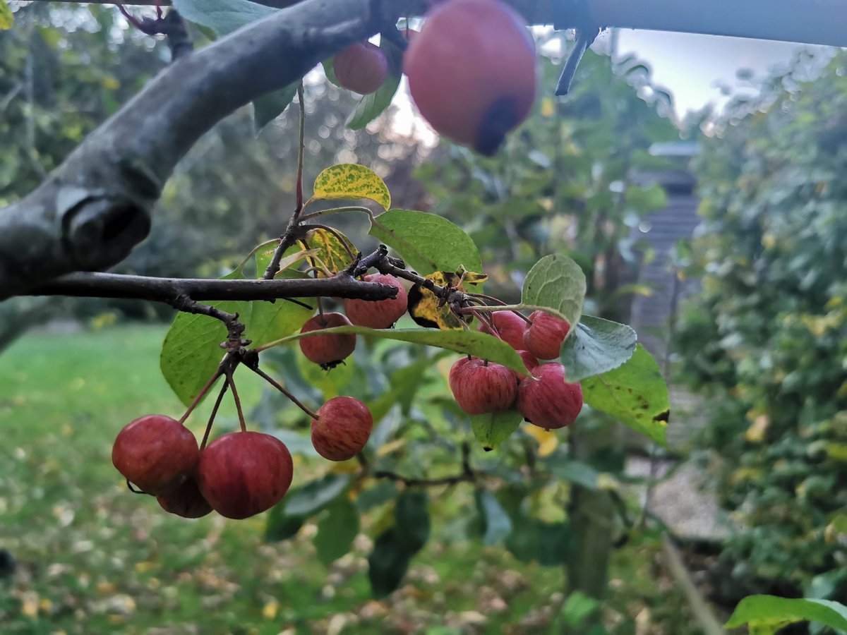 MarkLaneTV's tweet photo. #autumnwellbeing @thrivecharity https://t.co/mn8EprOZ2x