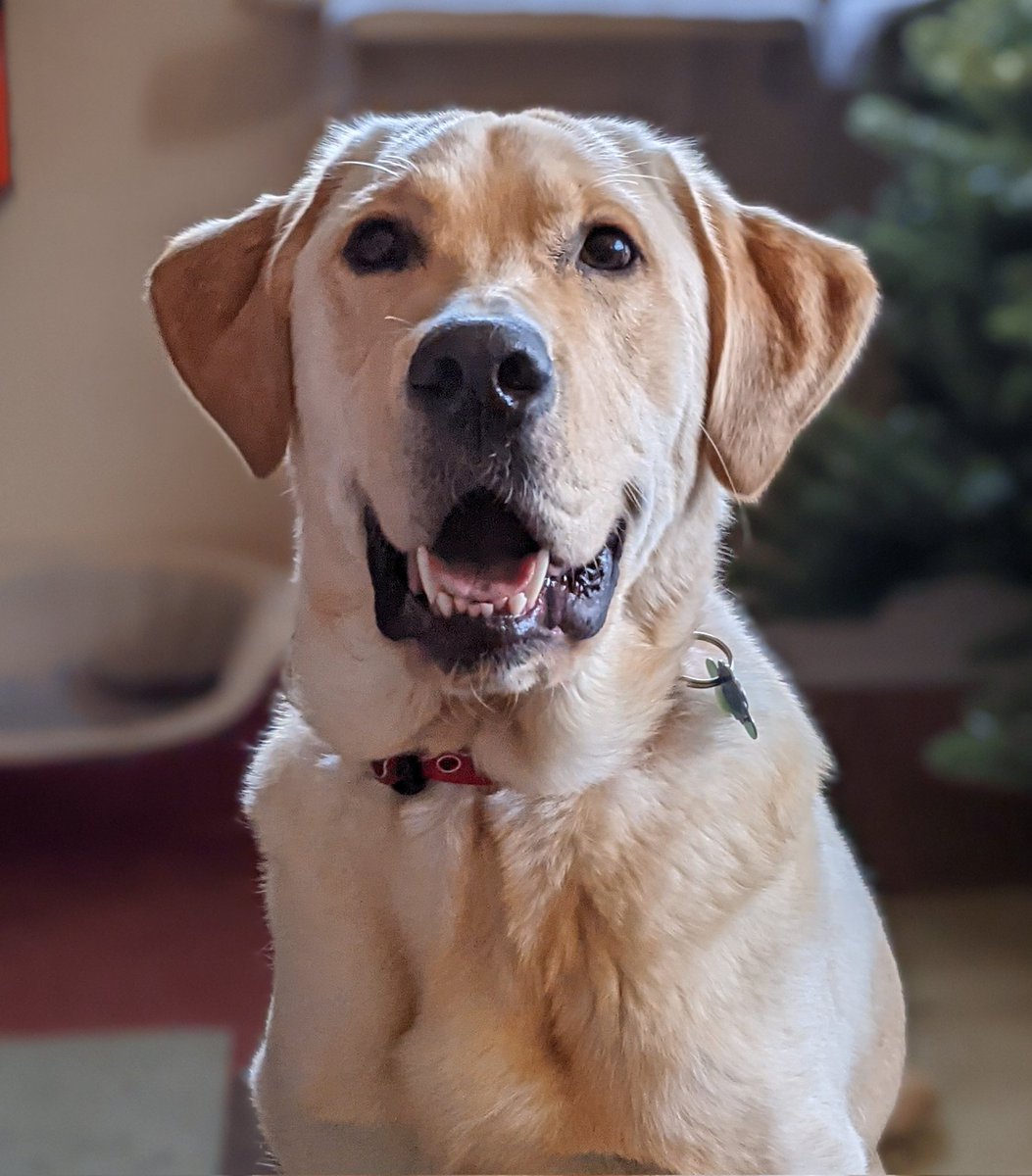 Sabin hopes everybody had an enjoyable holiday break!