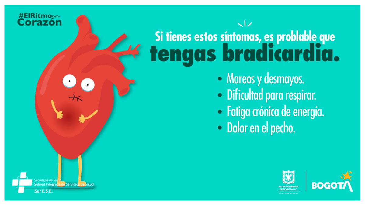 SubRedSur's tweet photo. #Síntomas de bradicardia💗
La bradicardia es un trastorno del ritmo cardiaco en donde el corazón late más despacio de lo normal, las personas pueden experimentar varios síntomas que el médico evaluará para medir la severidad de la condición cardiaca y determinar el tratamiento. https://t.co/XMclgDzBYB