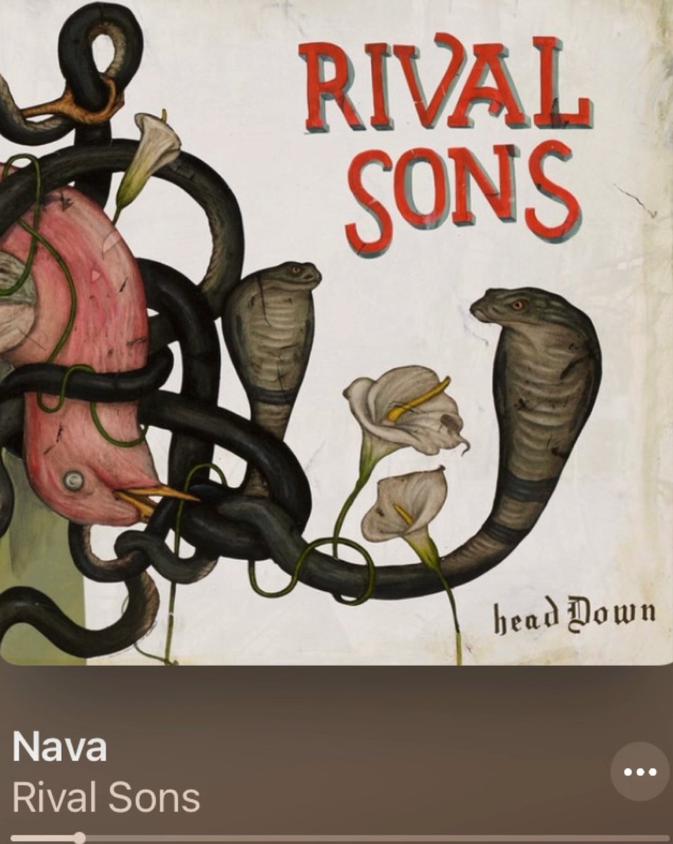looby_lambchop's tweet photo. Having a complete chill out to @rivalsons #keeponswinging ✌🏻 https://t.co/QYd6iU0pl8