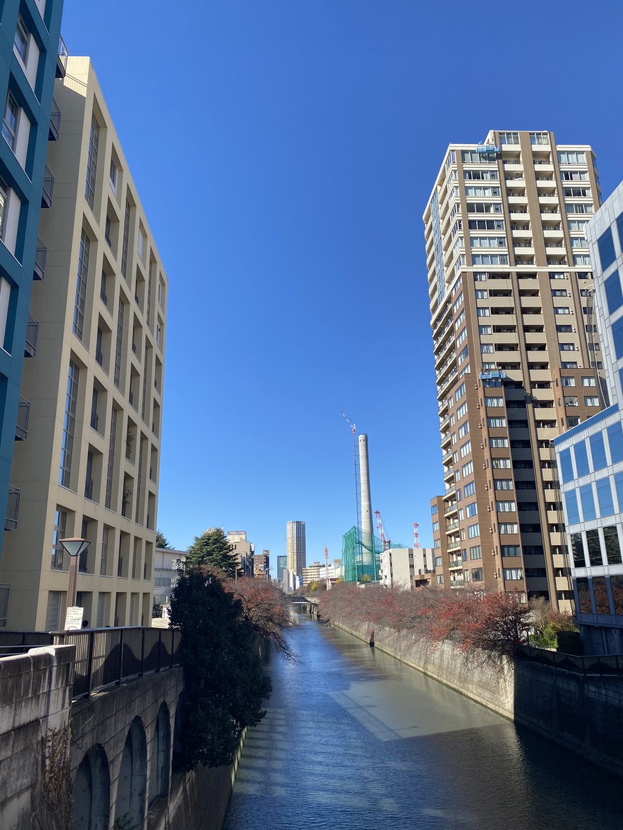 目黒駅周辺をお散歩。空は加工なしでこの蒼色でした。
#目黒 #目黒駅 #目黒川