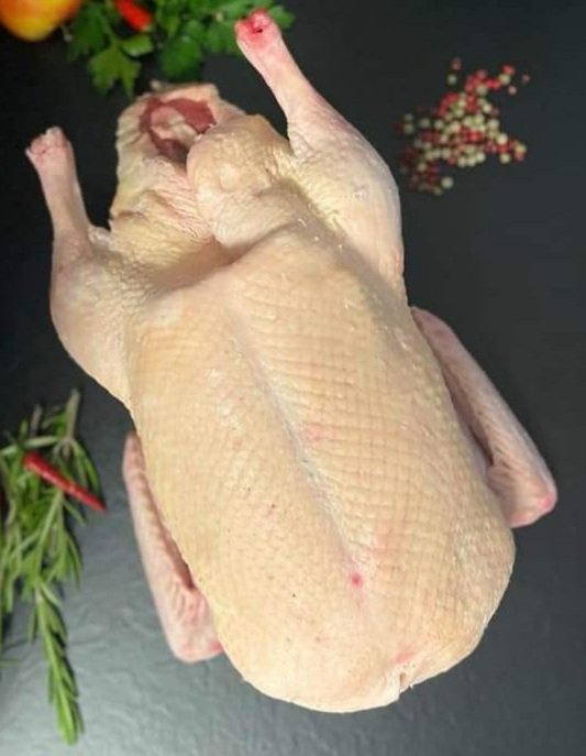 HTanis34's tweet photo. Hally Hallo, #weihnachten vor der Tür.  #VORBESTELLEN sicher sein. Wir bekommen aus  #Oberösterreich #waldviertel #Pute #truthan #GANS #ente. #Freiland Sous Vide  Am #Kutschkermarkt #TanisAmKutschkermark #WeltmeisterKebap https://t.co/wowS7WdhTO huseyin@tanis.at  
📞 069912201417 https://t.co/RxsjBJ5H3w