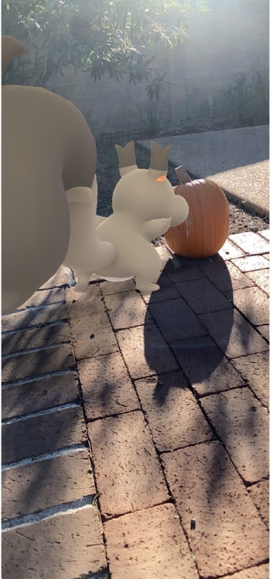 ElSegund_'s tweet photo. 🐿🐿🐿
#PokemonGO #PokemonGoApp @PokemonGoARplus @PokemonGoARplus https://t.co/YUizoAKrSX