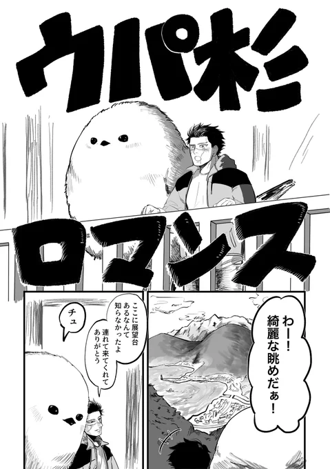 【黄金暗号13無配】ウパ杉