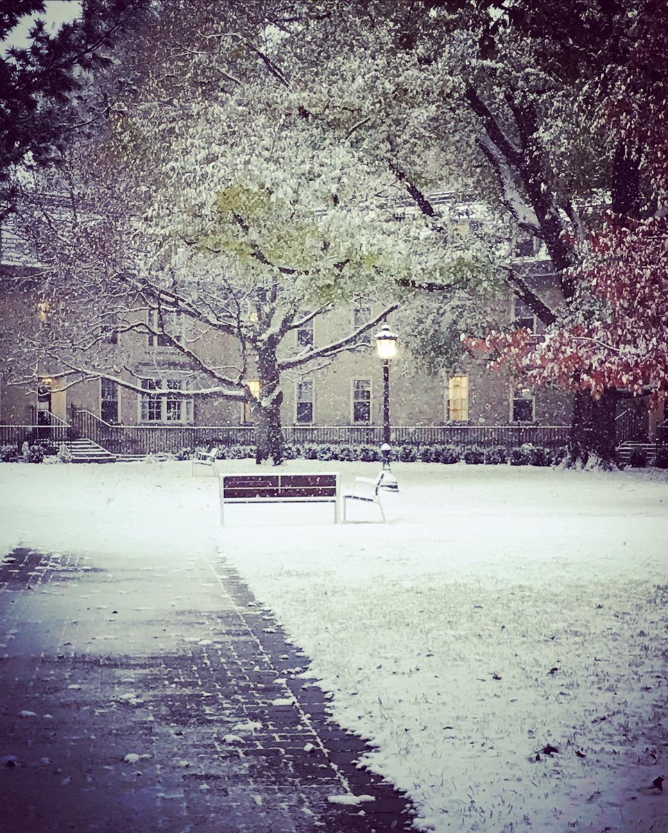 Melinda Scott tweet media