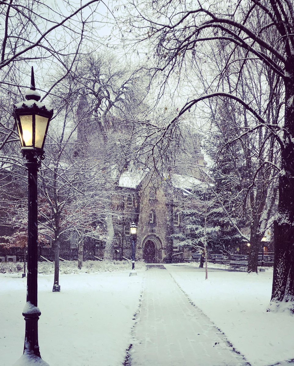 Melinda Scott tweet media