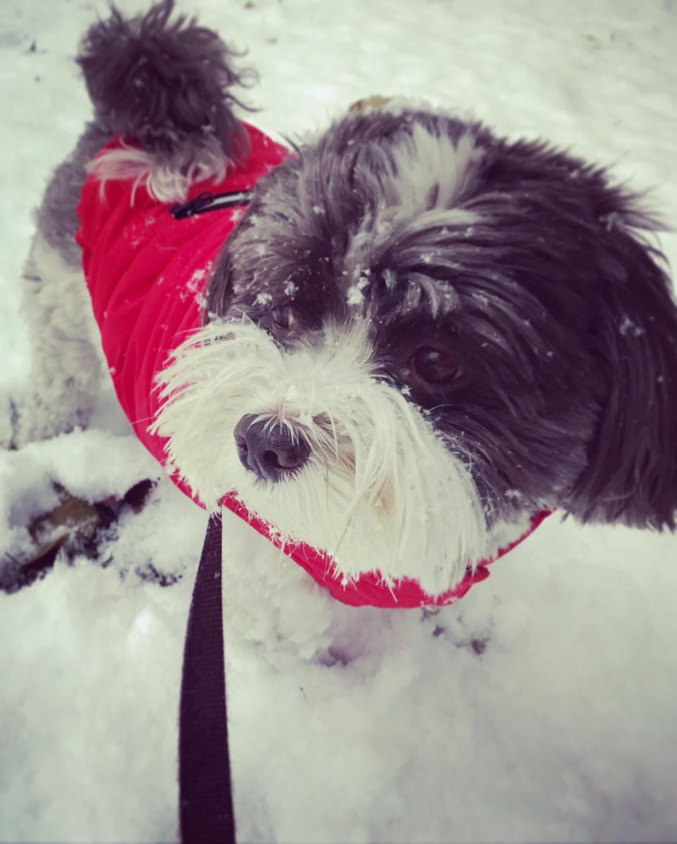 Melinda Scott tweet media