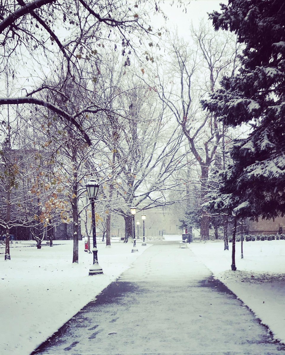 Melinda Scott tweet media