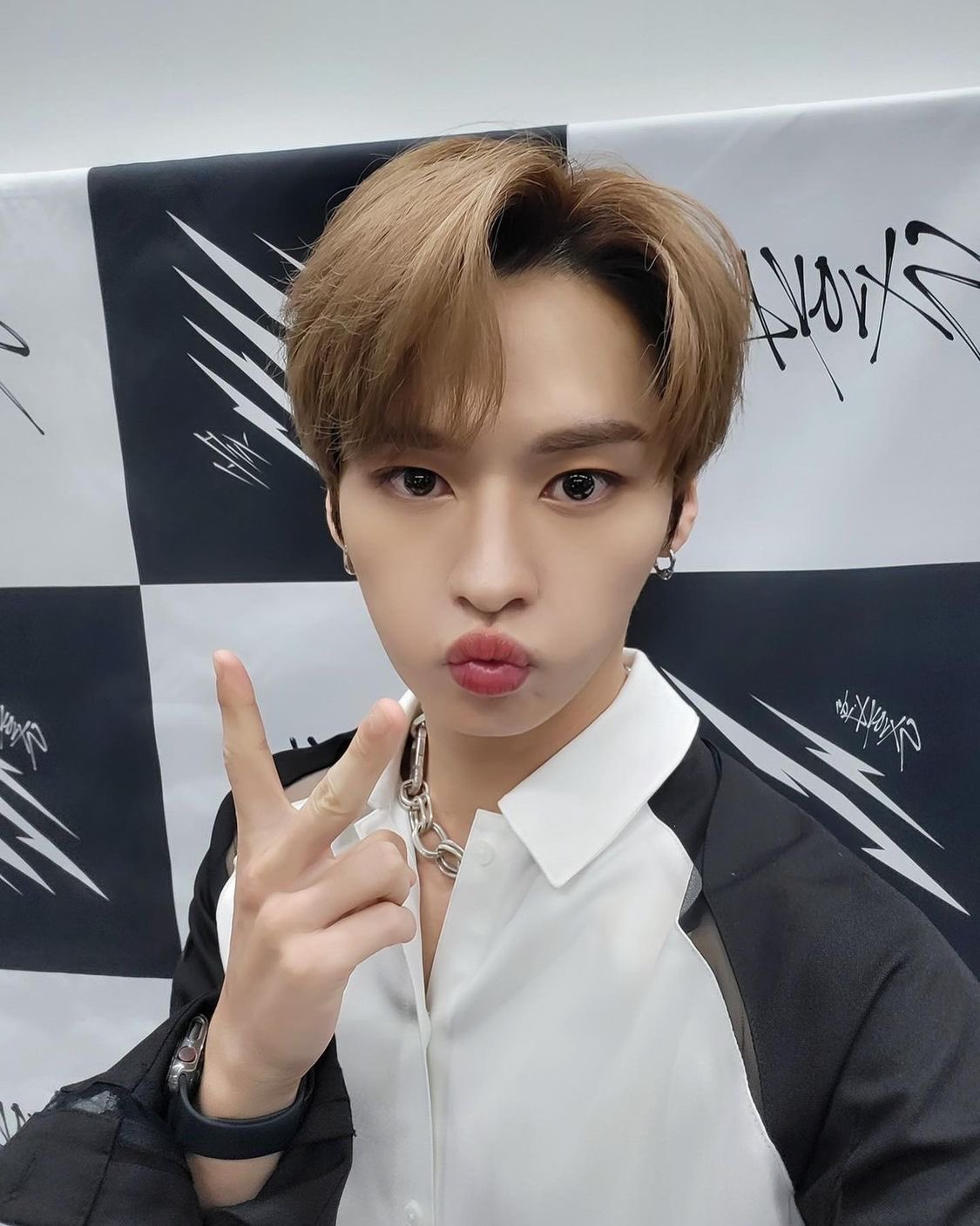straykids スキズ リノ leeknow アクスタまとめ売り