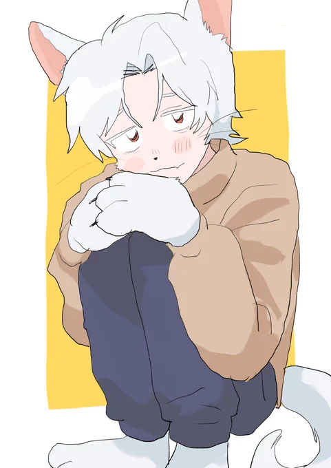 まっしろオオカミくん 