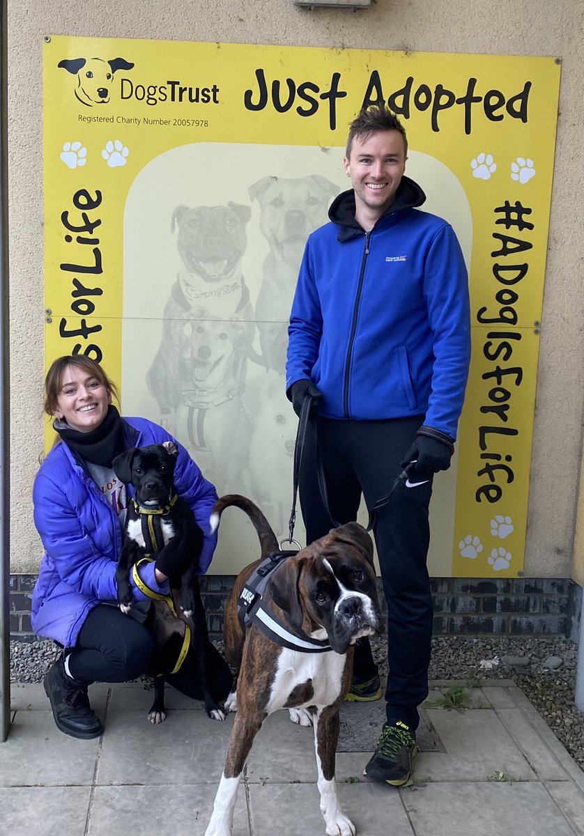 C. Ní Chléirigh📚🖌 tweet media