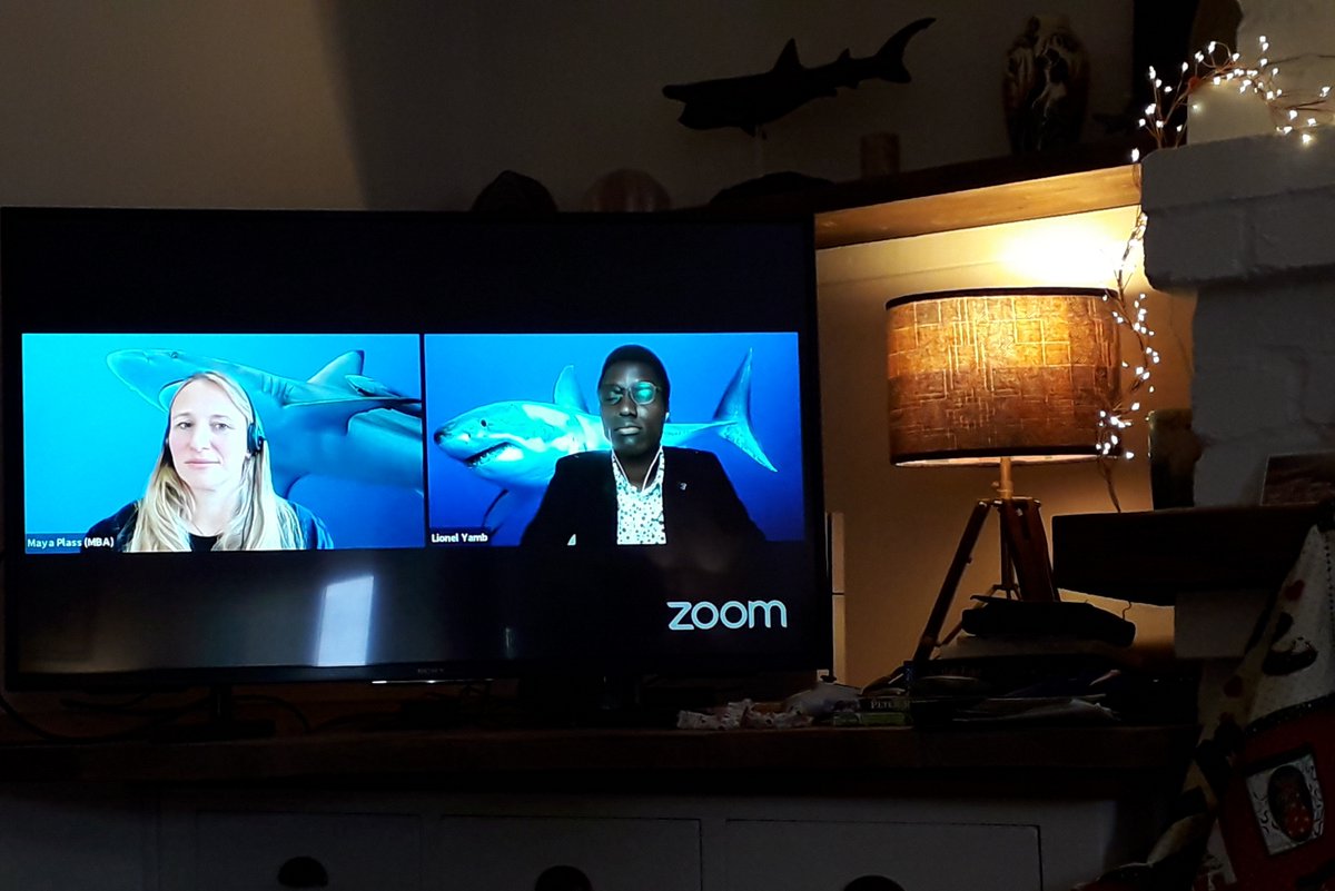 EJ_Southall's tweet photo. Is it okay I'm enjoying the #YMBSummit2021 as much as the kids are? #OceanPredators?
@saveourseas #YMBSummit2021 @lionelyamb @FreyaWomersley @dr_catmac @Alifa_Haque https://t.co/QtUnRI9TE6