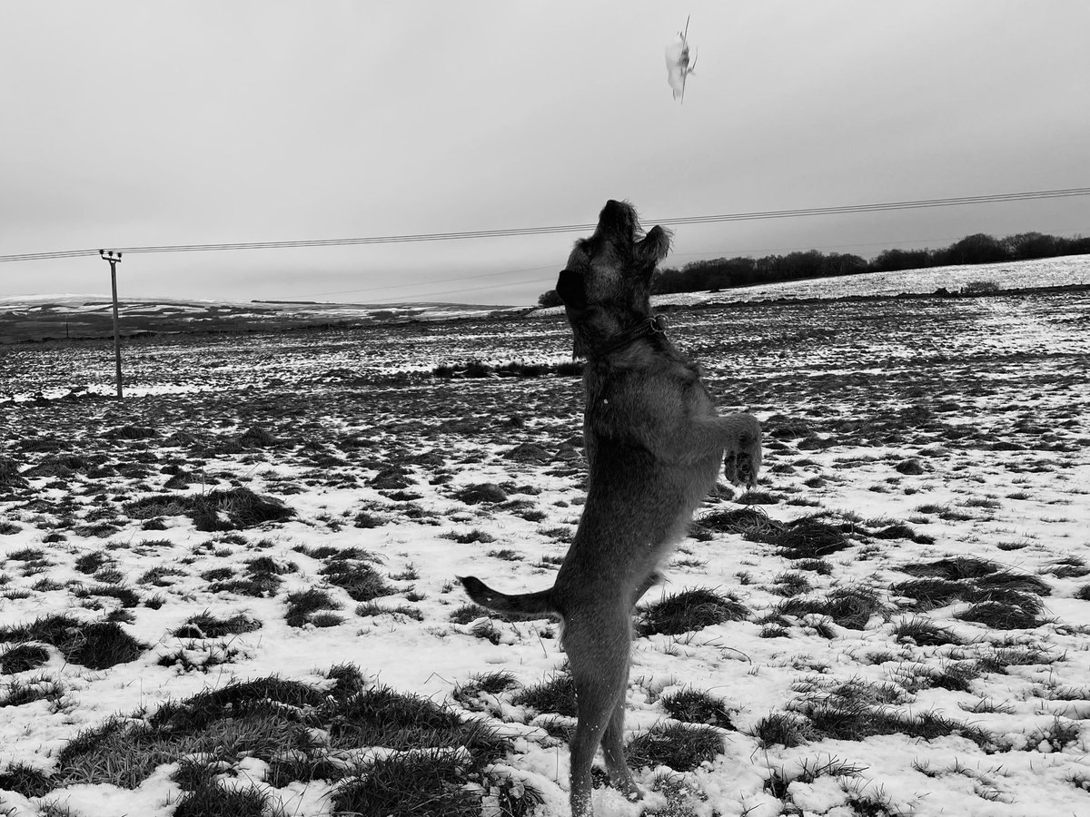 danchrisanthou's tweet photo. Morning walks https://t.co/oCvUMyXReJ