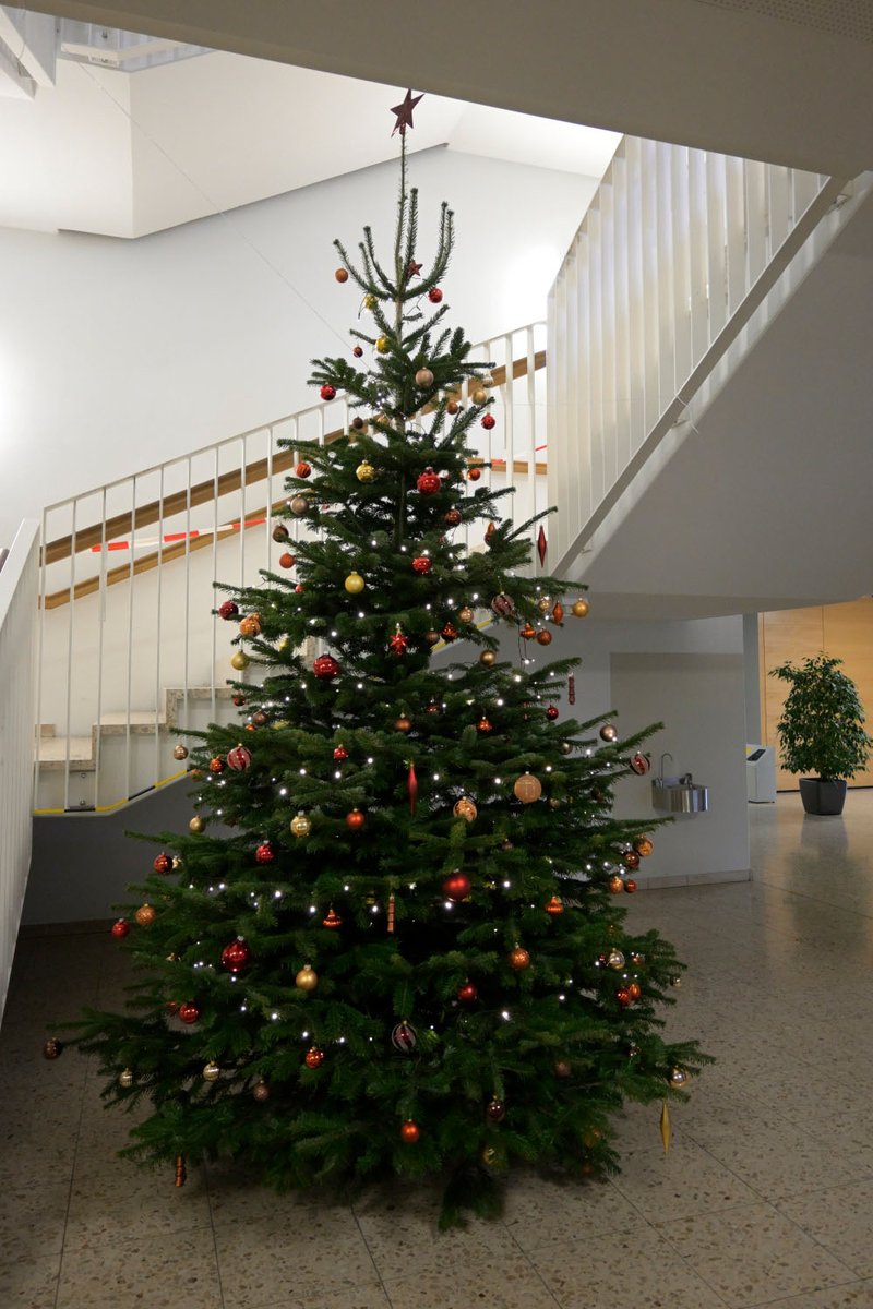 HAKHASLustenau's tweet photo. Christbaum 2021 - Eine Tanne begeistert sie alle
Warum ein Nordmann gerade in Risikostufe 3 ein Muss ist https://t.co/zCcqQiZjx0 https://t.co/MOqrjHvilf