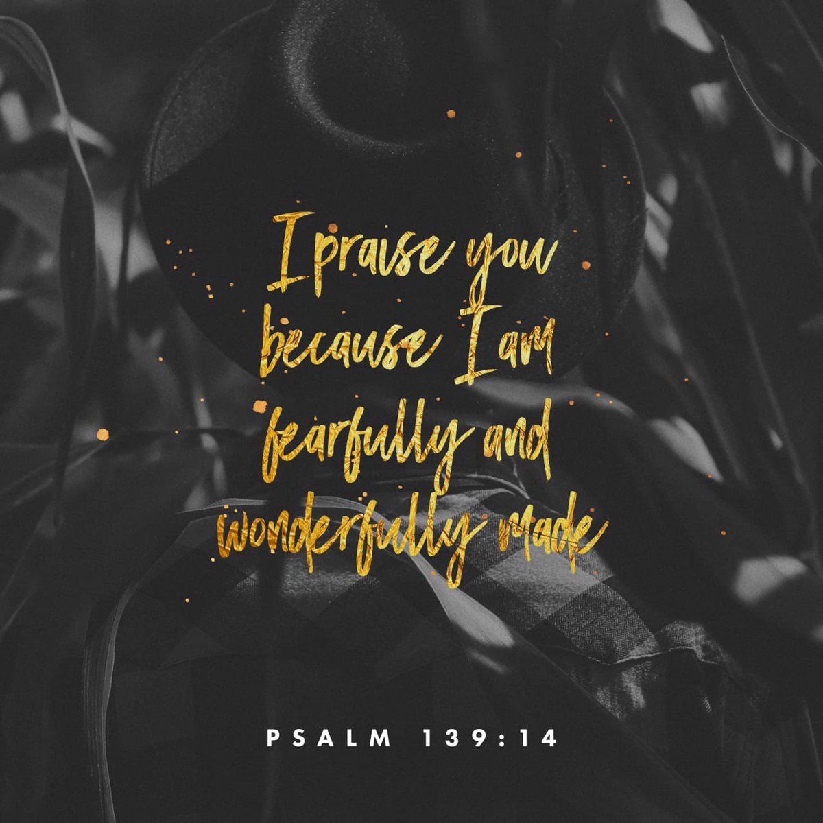 akaCoachAndrews's tweet photo. #SavedSunday If God perfectly equipped us physically, will He not equip us spiritually for every eventuality? 

Be encouraged. God has built you to take it. Don’t give up. Don’t give in. Don’t despair. Why? Because we are fearfully and wonderfully made.  https://t.co/aHjKIPzZac https://t.co/MOQHMUfE3S
