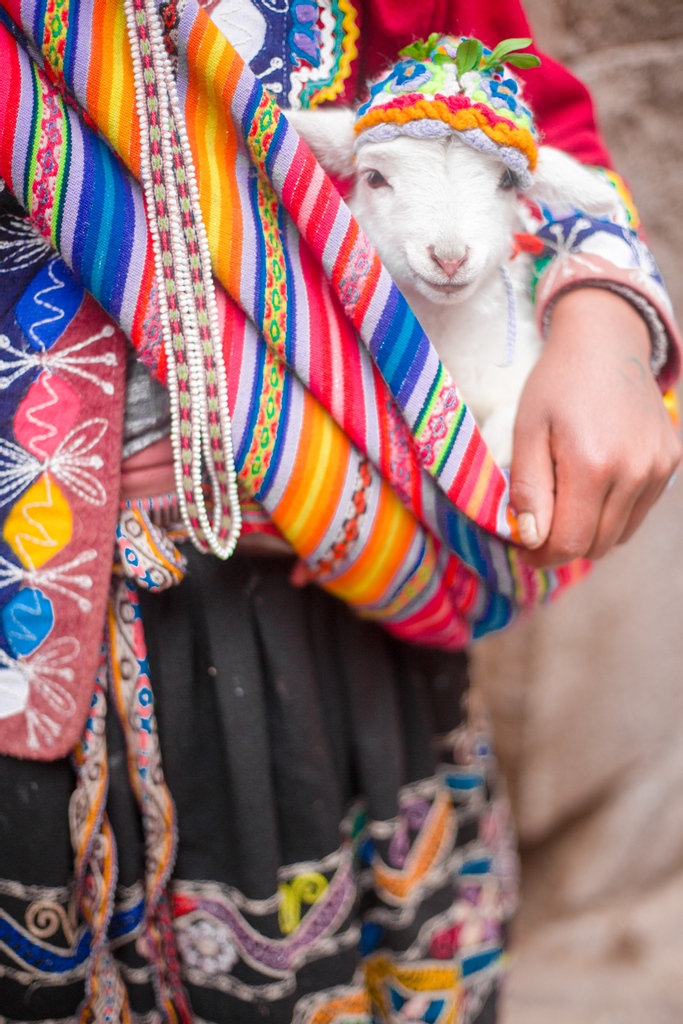 Take a break from holiday shopping and visit bookhuman.travel to live chat with a real human #travel advisor about your travel dreams (like admiring baby alpacas in Cusco, Peru). We’d love to hear from you!