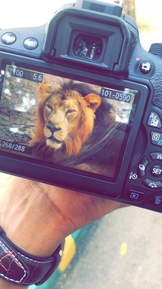 rohithsugantham's tweet photo. ⚠️Random photo dump

#First20DaysofCollege https://t.co/t77F4TMLHd