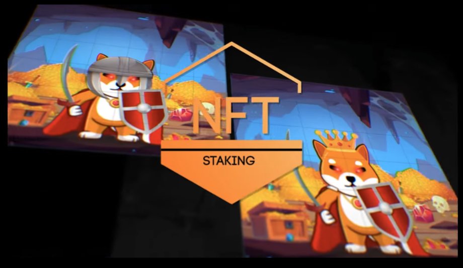 KingShibaBSC's tweet photo. Who is hyped for the #NFTs coming out tonight?!?!

Make sure to join the voice chat at 7:30PM UTC‼️

Who is ready to get the legendary ones?👀

Join the Telegram group for the voice chat:

https://t.co/nUSfagjZt9 https://t.co/poBXb2PDqg