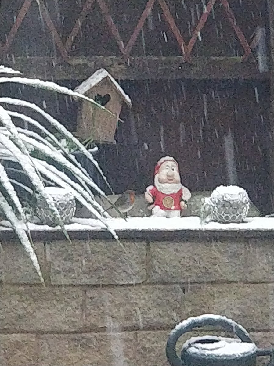 craig_pick's tweet photo. The #RedDevils are out in all weather. Here's #ericthegnome and #VanPersie braving the cold. @ManUtd @SkySportsNews https://t.co/DzgN0CFINh
