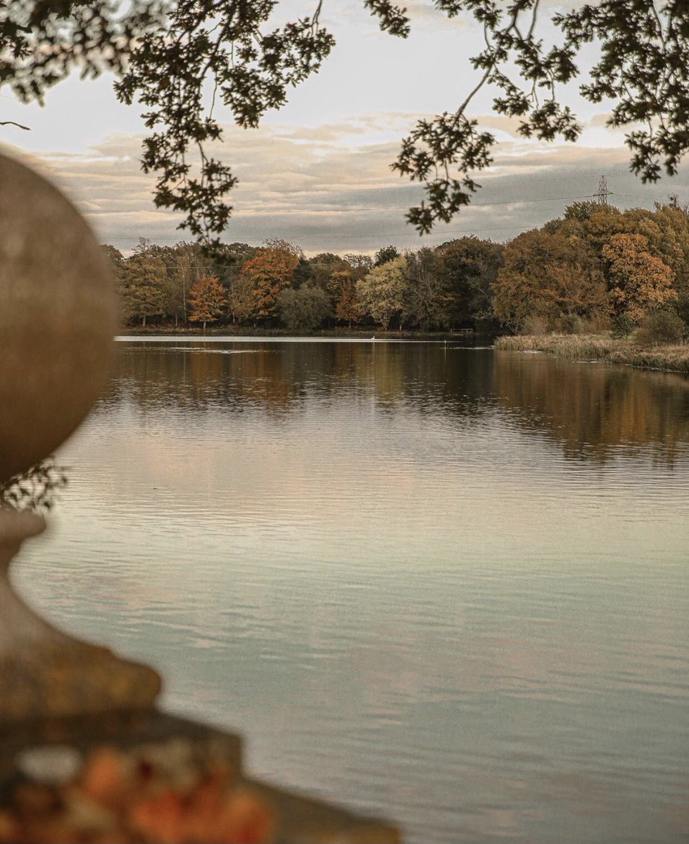 FSHampshire's tweet photo. Picture yourself enjoying Sunday strolls like this across our 500 acre estate 📸 @therollinson #Sunday #FourSeasons #DreamWithFS https://t.co/pZCrszFs9V