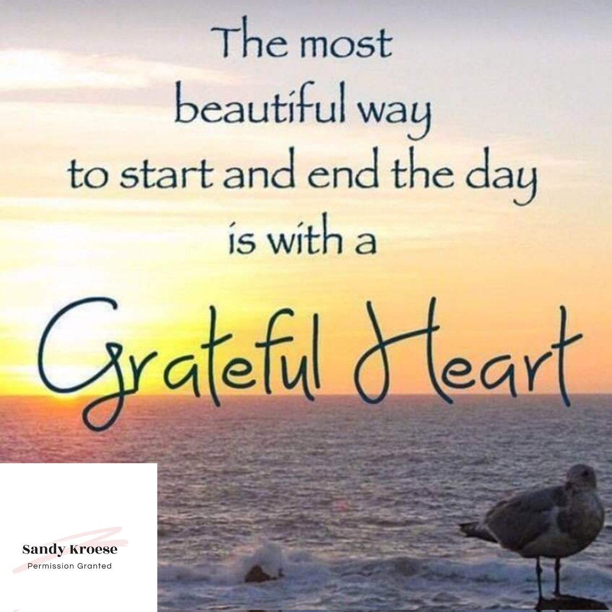 Sandy Kroese ☕ 🍫 🌼 tweet media