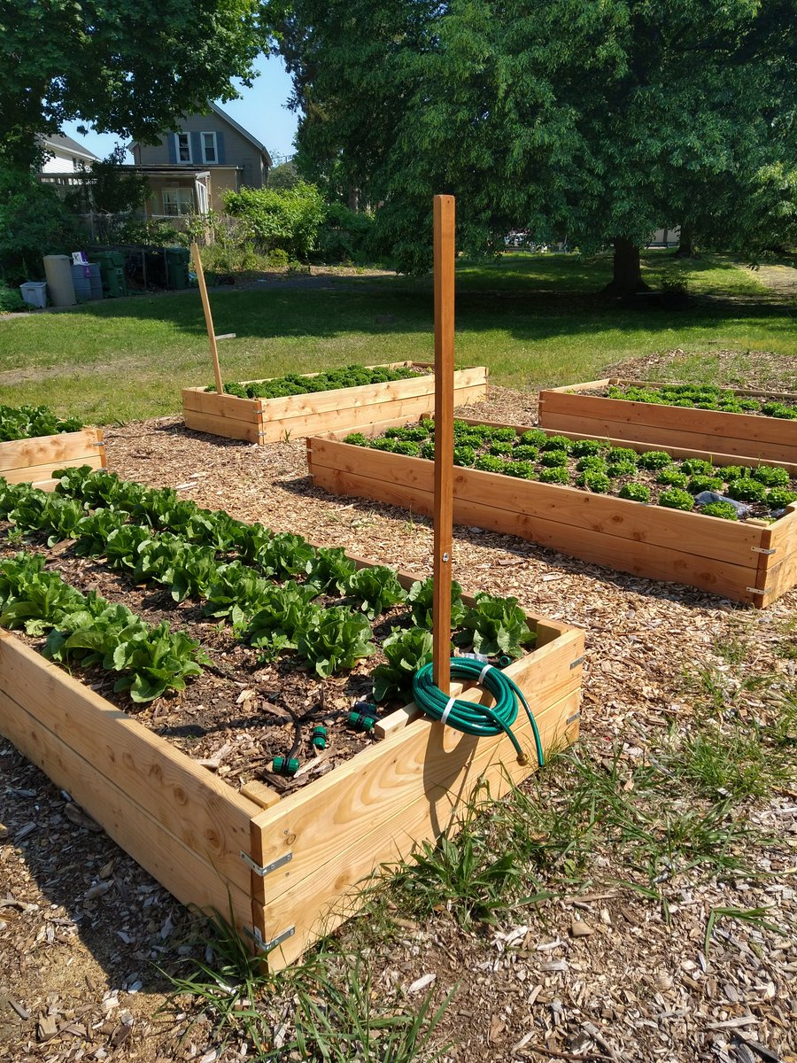 Roots 2Empower! Continuing to grow! This year we added 5 raised beds and intend to include 5 more in 2022!