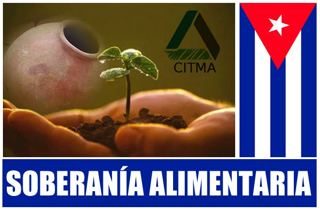 La introducción de los resultados científicos a la producción de alimentos en #Camagüey, responde al programa de soberanía alimentaria y educación nutricional que se implementa en la nación cubana
👇👇#Cuba🇨🇺
radiosantacruz.icrt.cu/resultados-cie…