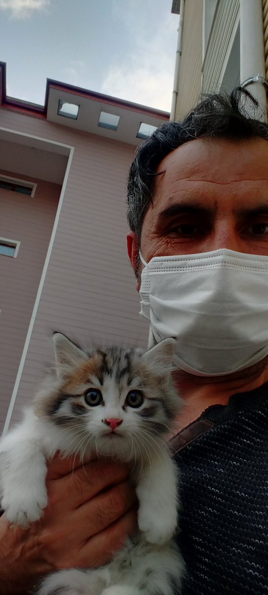 #kediler güzeldir ve de akıllıdır.