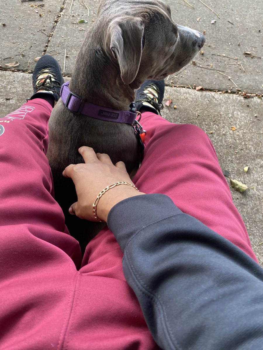 Code Breaker👨🏾‍💻 tweet media