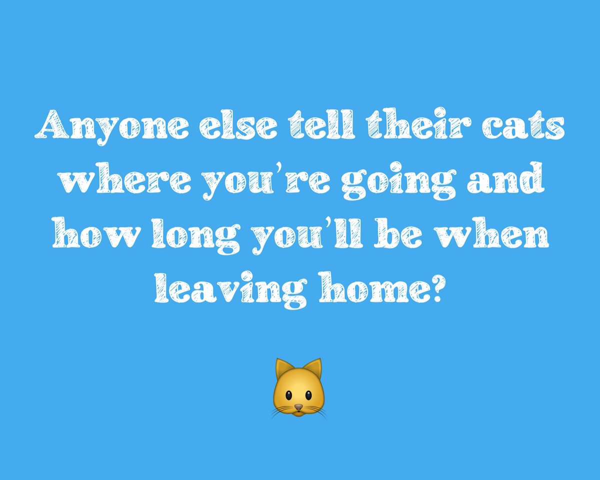 Cole & Marmalade tweet media