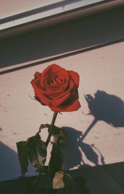ping_WSM's tweet photo. #WSM_commu

ᴛᴡᴇᴇᴛ🔥
__ - ทวิต
/__/- กระทำหลังจอ

—Roleplay—🔥
“___” :พูด
‘___’: คิด
//__ //:การกระทำ
____ :บรรยาย/ทวิต
[___] : ส่งข้อความเสียง/คอล

(__) :ผปค.
ดอค>ไบโอ

DM/โค/โรล/เวิ่น/ต่อย?/จีบ/=(👌🏻!💖ok!) https://t.co/msKJDuLh2L