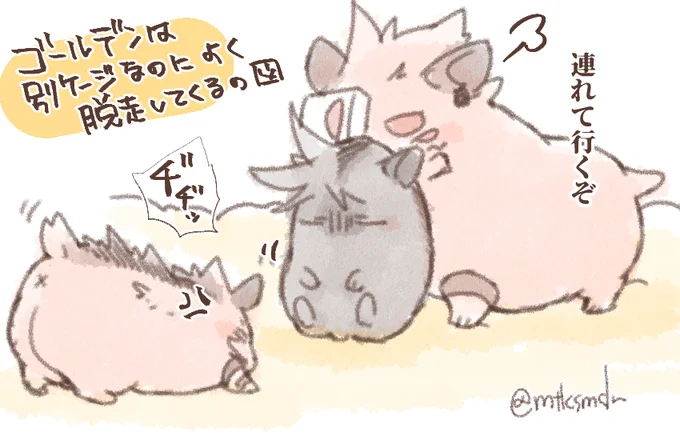 続・ハiムスター宿伏 