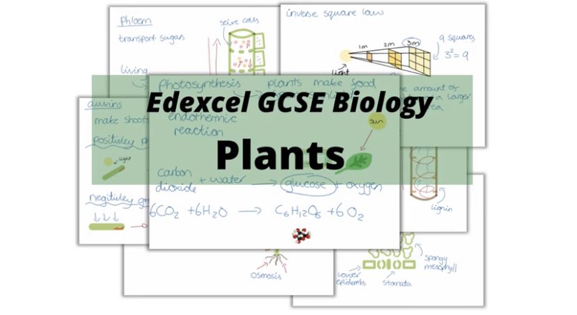 ScienceMadeEas1's tweet photo. The WHOLE of GCSE Biology PLANTS in one revision video!

https://t.co/uWlm5Is2ko https://t.co/8y7XuwYZTe