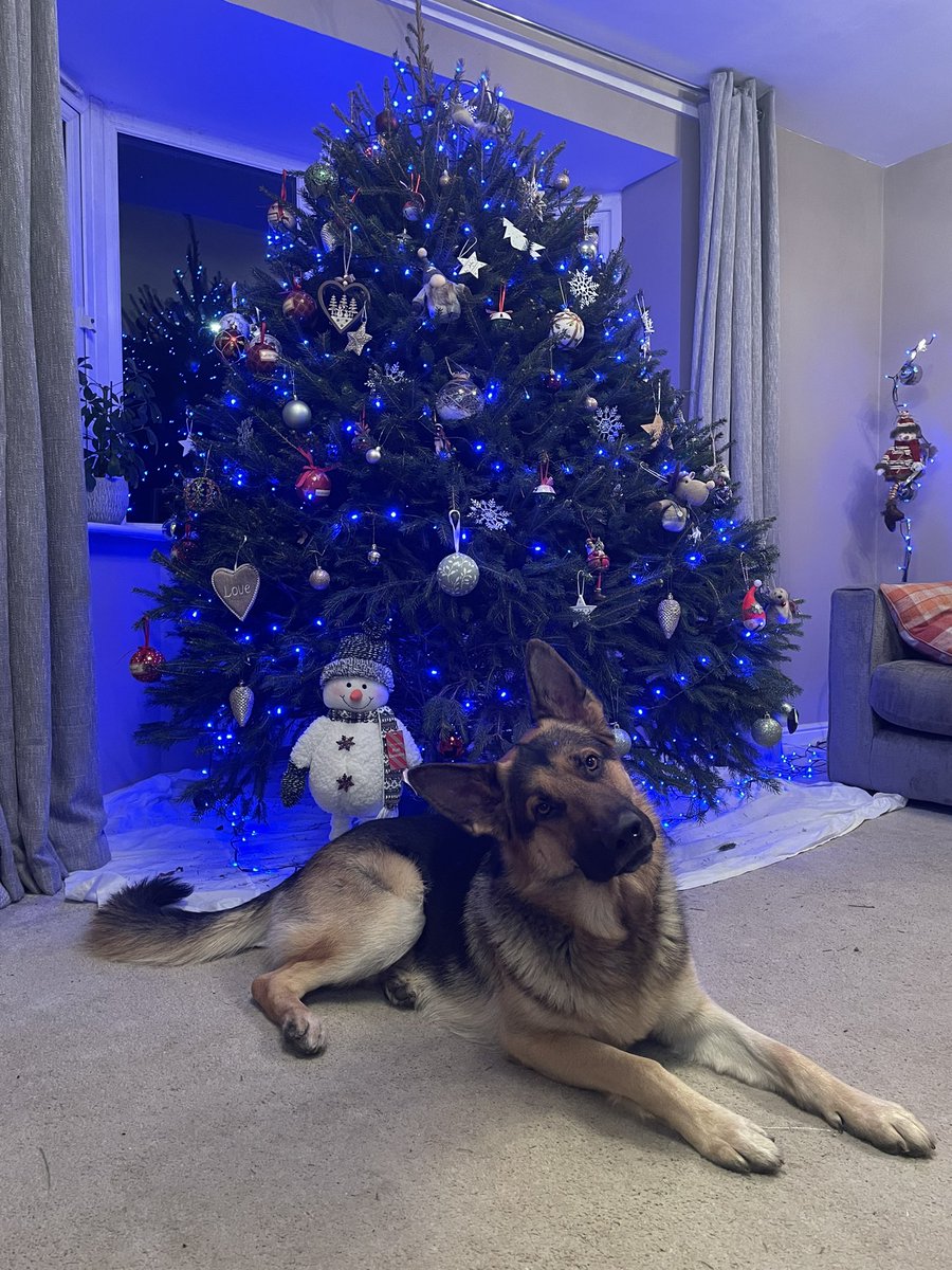 SRiley40520977's tweet photo. Great Christmassy weekend! https://t.co/SjEYVK1ttL