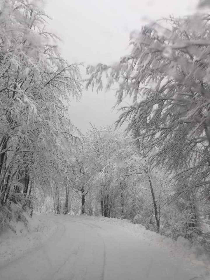 ModenaDintorni's tweet photo. Ci dicono che è caduto qualche fiocco di #neve sul nostro #Appennino 😁❄️
Qui poco dopo la località di #Piandelagotti!
Ph Ileana Magnoni https://t.co/iPpy3WLjNL