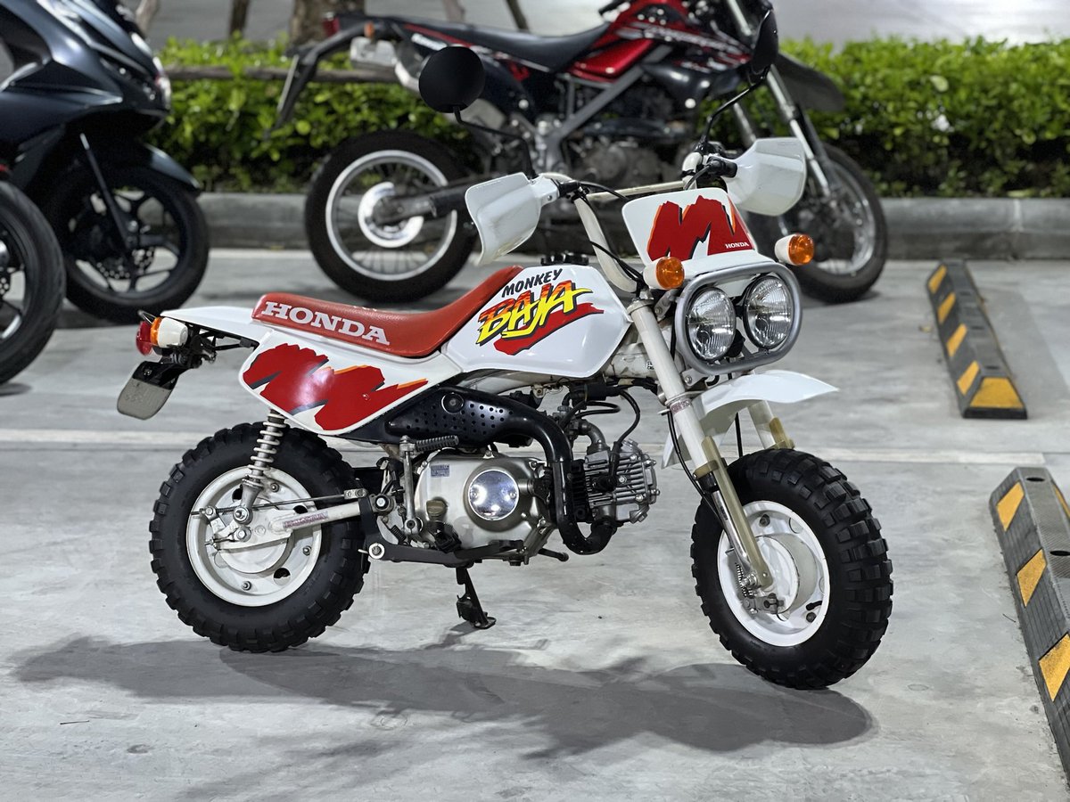 Dio Baja/Monkey Baja Club tweet media