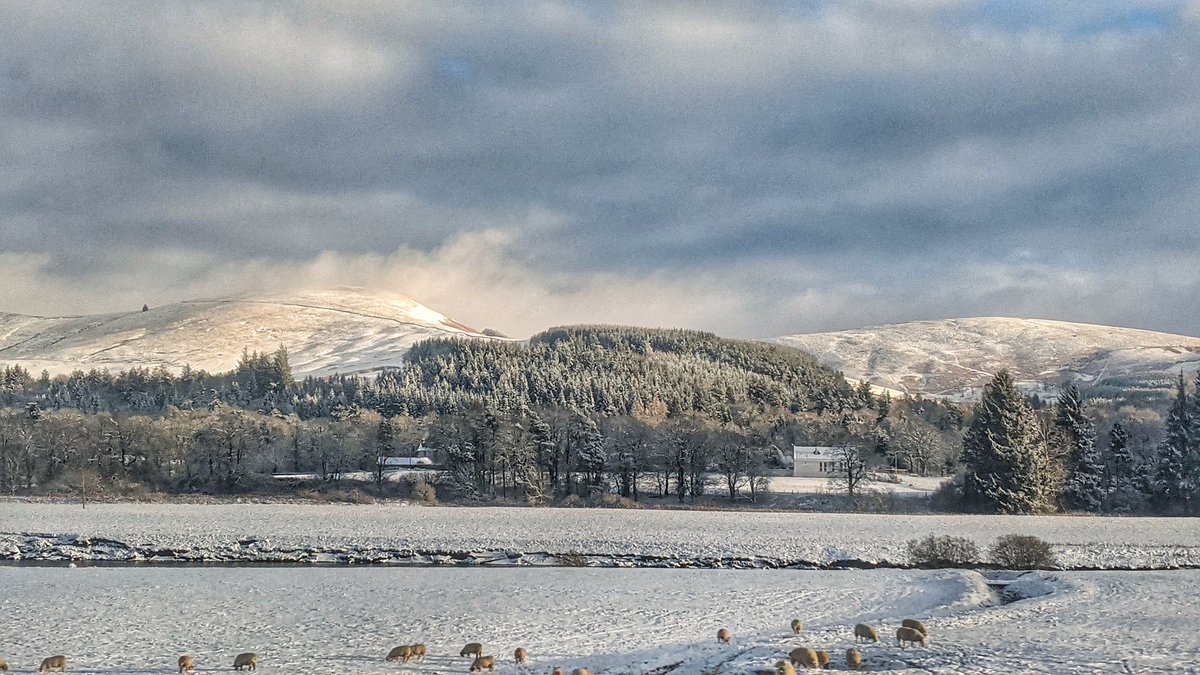 JohnWaddo's tweet photo. A wintry looking scene from @AvantiWestCoast speeding through the #Beattock area 🚅❄️this afternoon. #Snow #Wintryscene https://t.co/q6qaiBwDW3