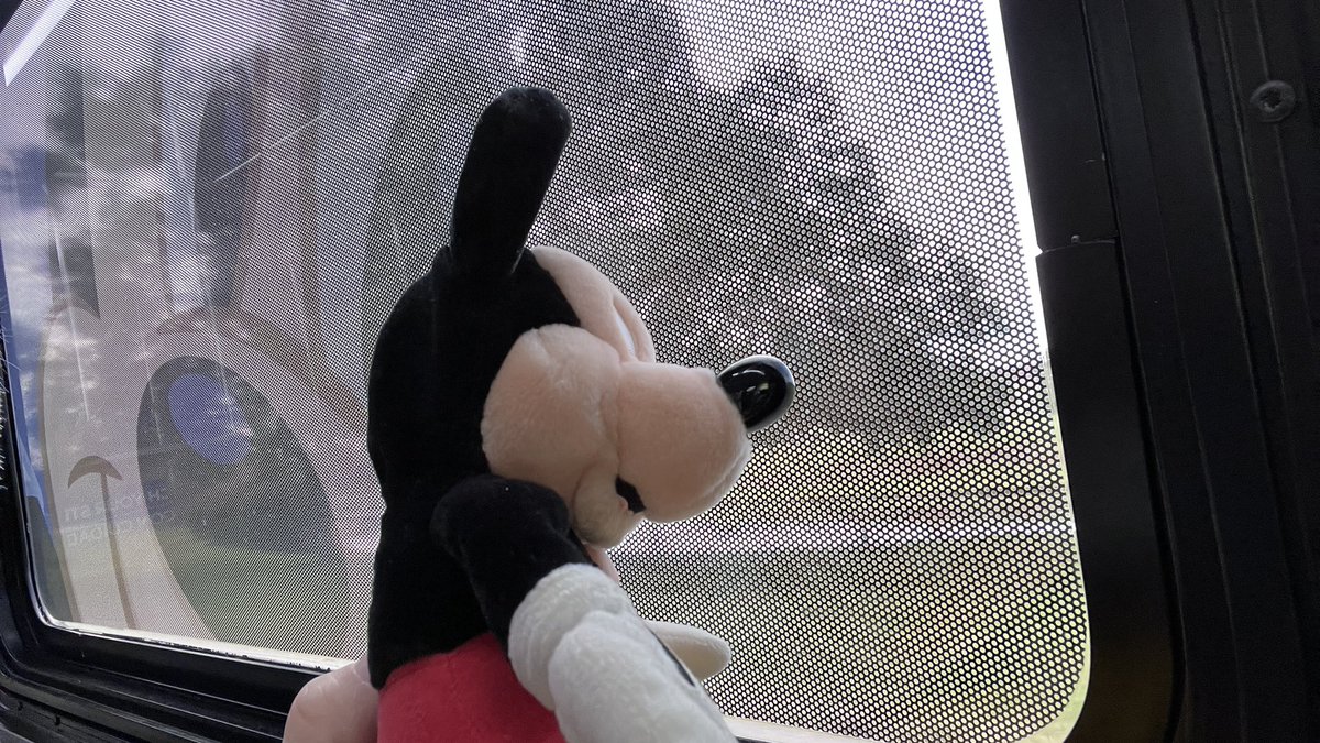 disneypicaday's tweet photo. If you want to join me and #palmickey (the name has been taken and is private) this week at the parks, check out my story on Instagram at https://t.co/rytaHAg1ku I might even honor requests. Maybe. https://t.co/zEbi5xnd6h