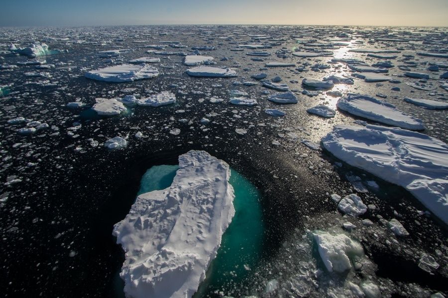 Contemporary Nomad tweet media