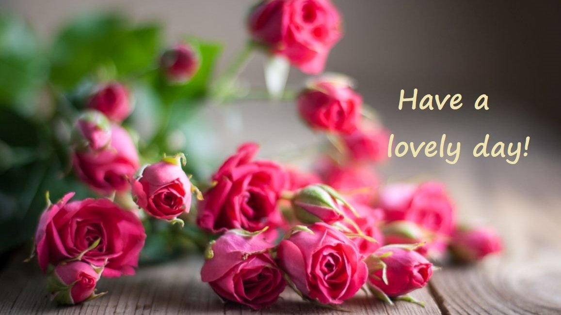 <a href="/VibuMarina_2/">🌹✿MARINA✿🌹</a> @Efrain2_ <a href="/1_saleh1964/">🇸🇦🇦🇪🌴 صالح الحلوان مقييد3ايام🇸🇦🇦🇪🌴</a> <a href="/Soy_Donna_/">🇦🇷♡Donna♡🇦🇷💙Sra de Morales 💍💙</a> <a href="/1_Donnattina/">❦1_DONNATTINA❦</a> @Efrain0k @Venus_SGT <a href="/LoveEfraDonna/">❥𝕰𝖋𝖗𝖆𝖎𝖓❤𝕯𝖔𝖓𝖓𝖆❥</a> @TopMarie_ <a href="/FLWRTR/">🔥⃤ Ｆ ♂ｌｌ♂Ｗ 🔥⃤</a> <a href="/FllWRTR/">🔥⃤ Ｆ ♂ｌｌ♂Ｗ 🔥⃤</a> <a href="/F1WRTR/">🔥⃤ Ｆ ♂ｌｌ♂Ｗ 🔥⃤</a> <a href="/Zeno_Mello/">🇧🇷Zeno_Mello🇧🇷</a> <a href="/sdh_2031/">𓃵MBS🇸🇦 💛🖤🫶صالح الحلوان 🫶💛🖤🇸🇦 MBS 𓃵</a> <a href="/melo_zeno/">♊️🇧🇷Z€NO🇧🇷♊️</a> <a href="/oce2005/">Oce2005</a> @GuySandstrm @Binguar3 <a href="/WALLI27/">Jhon f perez🎶🎸🚵☯</a> <a href="/gtckiz/">Şцlєѱlє10Ҝ💋ᴳᵀⱽᴬᴿ</a> <a href="/1mnff/">ᗩᔕᒪıツ20K☀️ᴳᵀⱽᴬᴿ</a> <a href="/rtdfn/">𝓓𝓮𝓯𝓷𝓮🚭ᴳᵀⱽᴬᴿ</a> 😍🌷💖💞