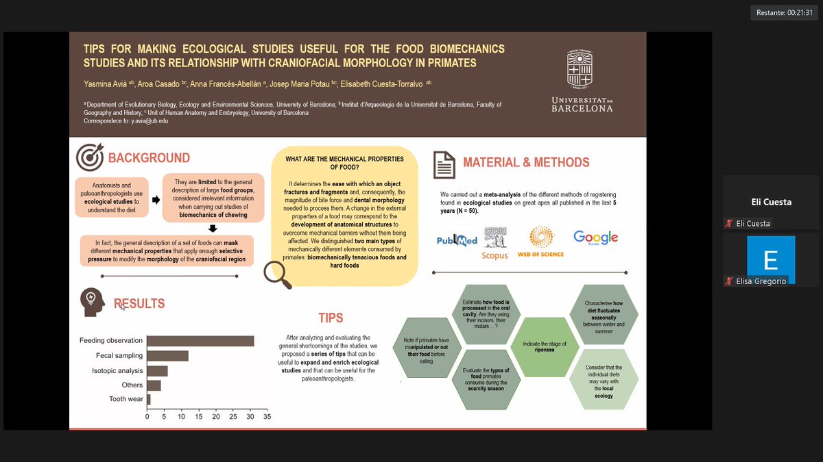 APEspain's tweet photo. Sesión de pósters del #ifp2021 @APEspain @app_portuguese Póster 6: "Tips for making ecological studies useful for the food biomechanics studies and its relationship with craniofacial morphology in primates." Elisabeth Cuesta-Torralvo et al. https://t.co/GMaOzh9WEP