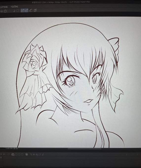ペン入れ中…
俺ってペンが好きなので、逆にペンがうるさくなる傾向があるので今回は線の太さを細く色々調整してみようかな(≧∇≦) 